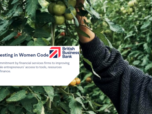 British Business Bank Investing in Women Code