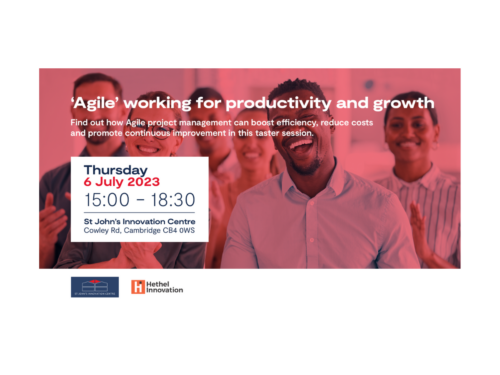 'Agile' Working for Productivity and Growth