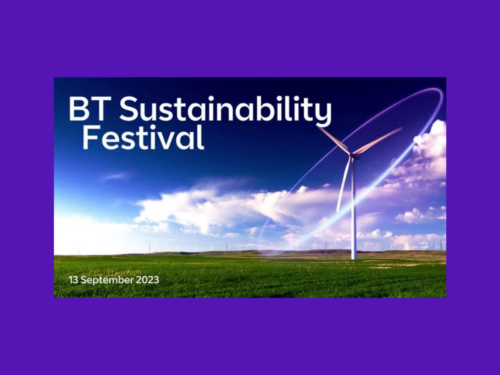 BT Sustainability Festival