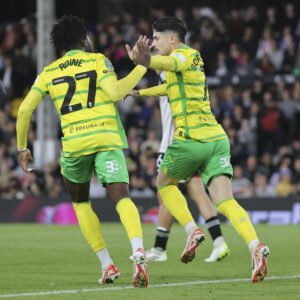 Fulham Norwich City game